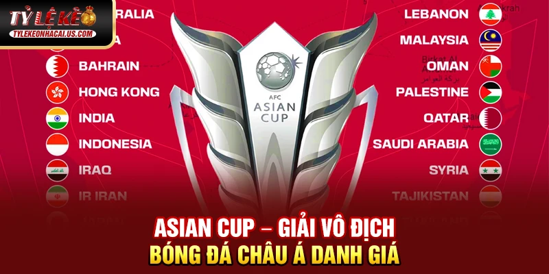 Asian Cup - Giải Đấu Vô Địch Bóng Đá Châu Á Đỉnh Cao Asian Cup – Giải vô địch bóng đá châu Á danh giá